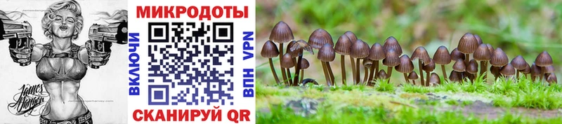 Псилоцибиновые грибы Magic Shrooms  гидра онион  Бор  продажа наркотиков 