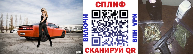МАРИХУАНА сатива Бор